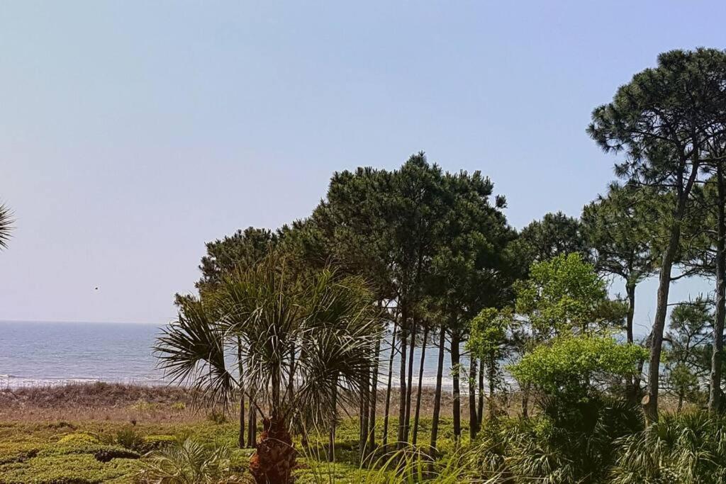 a group of trees in front of the ocean at Crashin' Waves-Oceanview Bikes and King Bed in Hilton Head Island