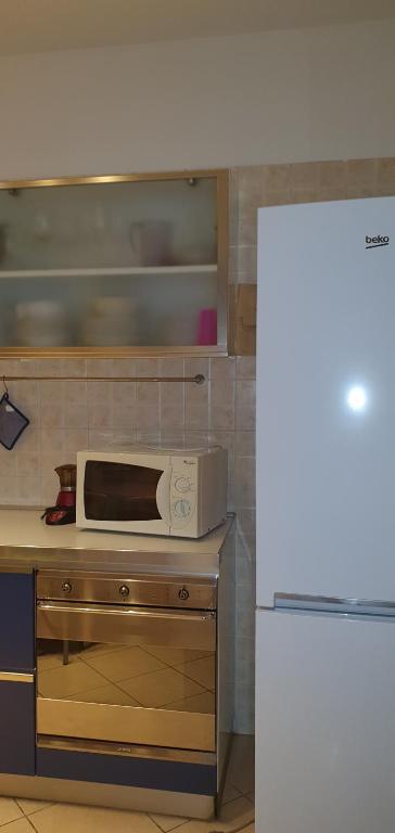 un microondas en la parte superior de un mostrador en la cocina en MGC en Modena