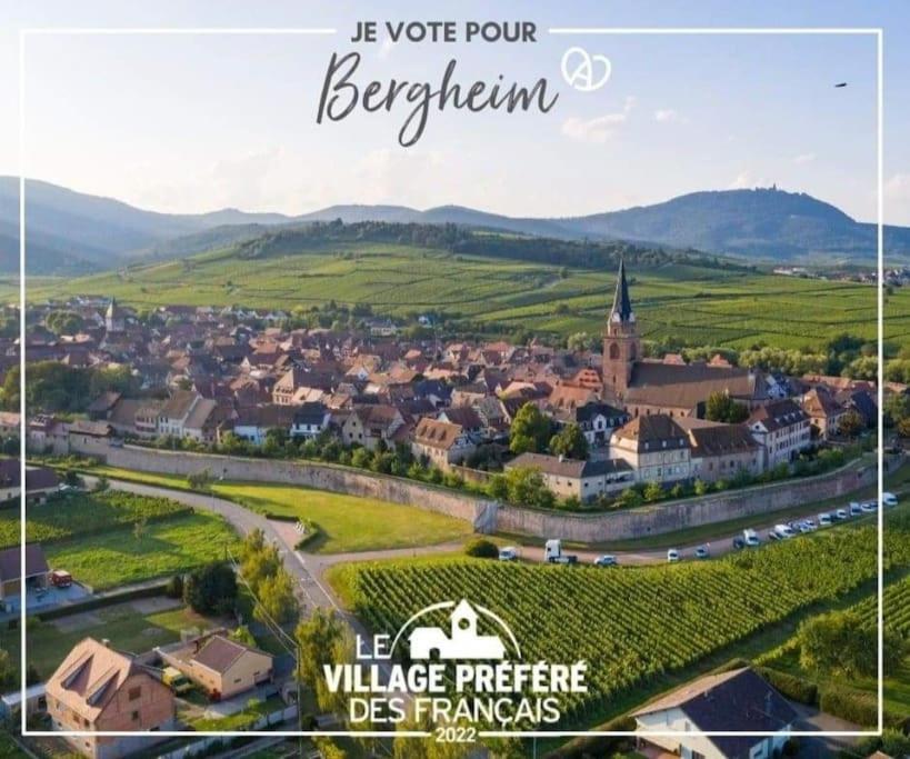 Escapade en Alsace - gîte de charme pour deux à Bergheim – photo 24