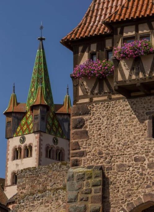 Escapade en Alsace - gîte de charme pour deux à Bergheim – photo 23