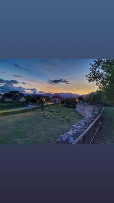 Escapade en Alsace - gîte de charme pour deux à Bergheim – photo 22