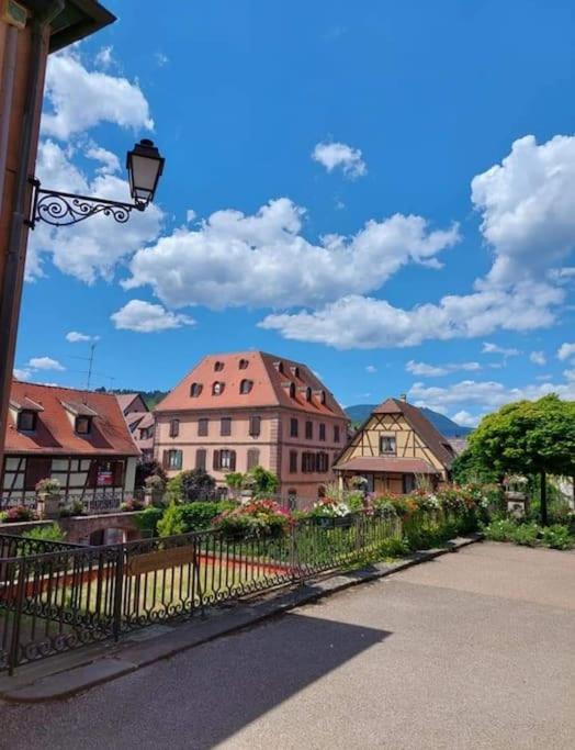Escapade en Alsace - gîte de charme pour deux à Bergheim – photo 21
