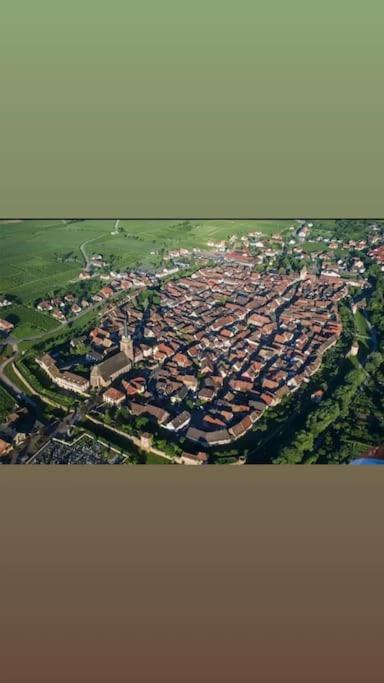 Escapade en Alsace - gîte de charme pour deux à Bergheim – photo 17