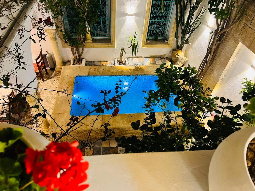 a view of a pool in a room with plants at Dar El Mahdia by Daldoul in Mahdia