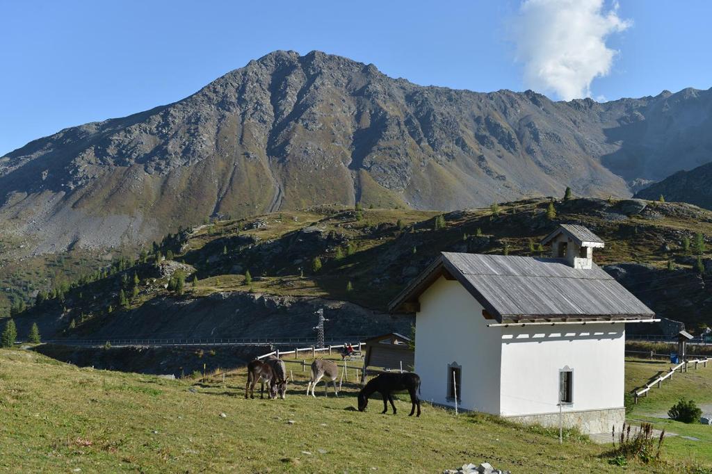 Príroda v okolí hotela
