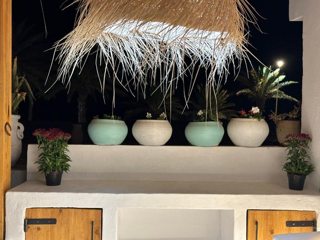 a row of pots of plants sitting on a counter at Dar El Mahdia by Daldoul in Mahdia