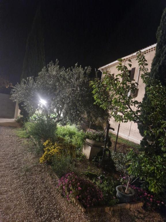 um jardim à noite com uma luz de rua em Studio em Sorgues