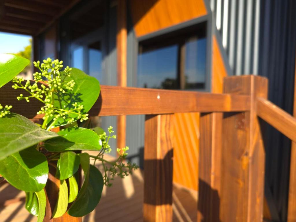 Fotografie z fotogalerie ubytování Natural Garden Tiny House Yalikavak v destinaci Yalıkavak