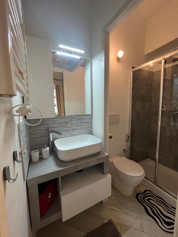 a bathroom with a sink and a toilet and a shower at Casa Vale Parco del Valentino in Turin