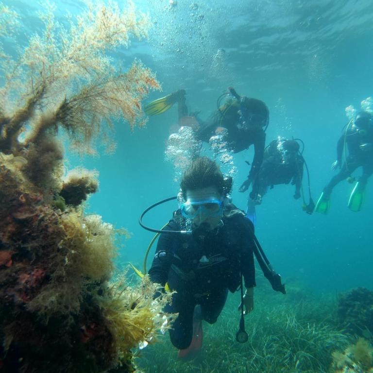 a group of people scuba diving in the ocean at Dar El Mahdia by Daldoul in Mahdia