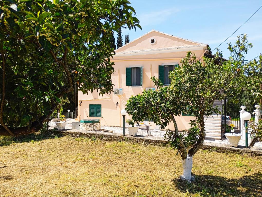 a small tree in front of a house at The Old Well, Spacious House in North Corfu in Perítheia