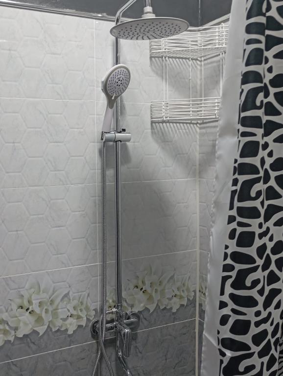 a shower with a shower head in a bathroom at MAR.s in Bukhara