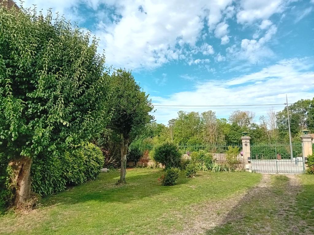 um quintal com uma árvore e uma cerca em Manoir de la Saône em Seurre