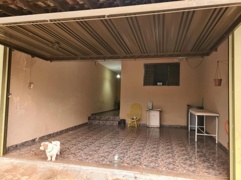un perro parado en medio de un garaje en Casa para Temporada Agrishow 2024 en Ribeirão Preto