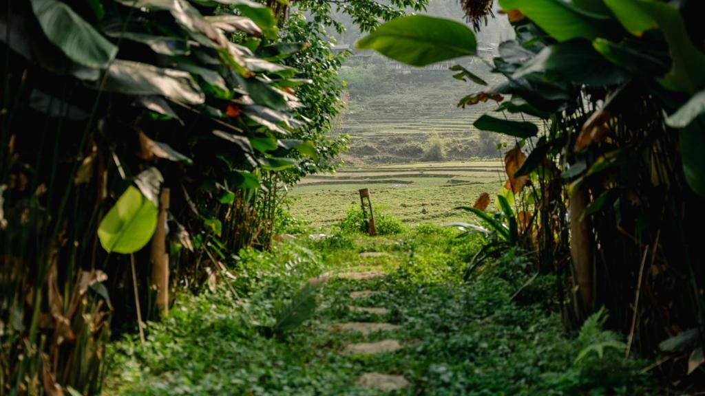 Sapa Eco Homestay - 8