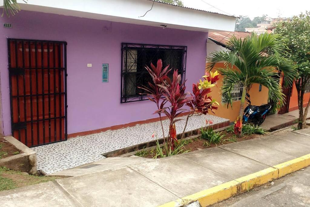 uma casa roxa com uma janela e plantas em frente em Casa Hospedaje Aromas em Tarapoto