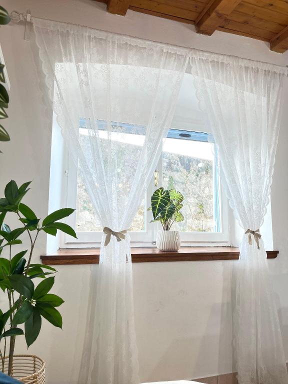Fotografie z fotogalerie ubytování Olivier house v destinaci Zaglav