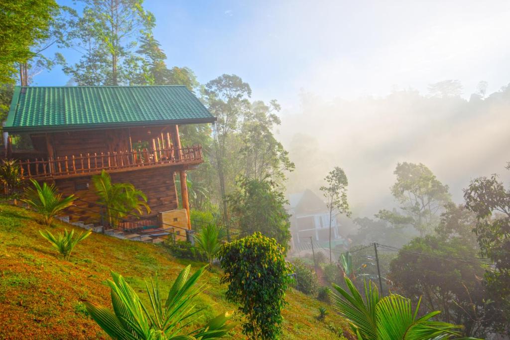 ein Haus auf einem Hügel im Wald in der Unterkunft Wenasa Holiday Resort in Diyatalawa