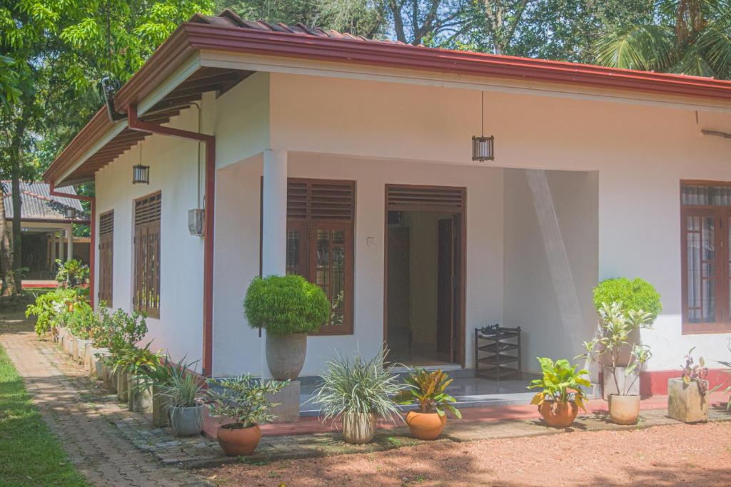 a white house with potted plants in front of it at Yashora Gimanhala in Anuradhapura