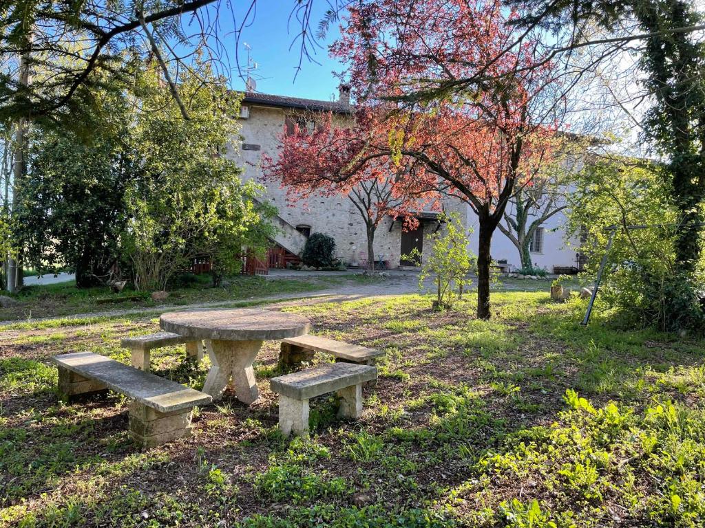 une table de pique-nique et des bancs dans un parc dans l'établissement Casa Vacanze Cascina Campagnola, à Pozzolengo