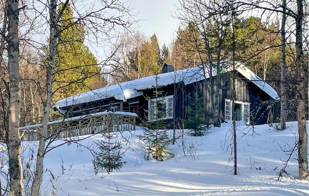 OsにあるGorgeous Home In Os I Østerdalenの雪屋根の小屋