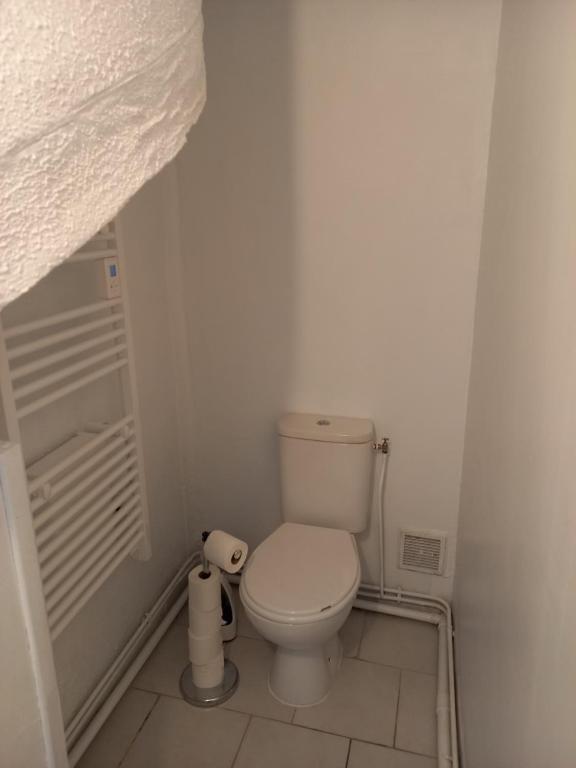une salle de bain avec des toilettes blanches dans une chambre dans l'établissement Studio bucolique, à Pont-Audemer