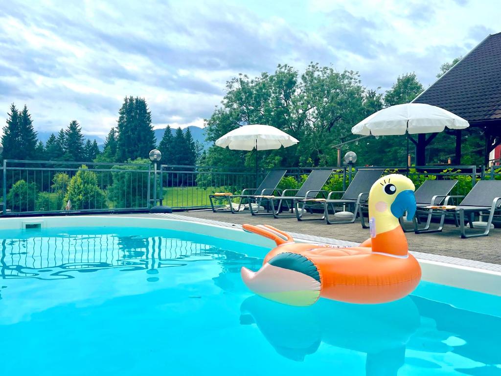 a plastic rubber duck in a swimming pool at Sweet Cherry - Boutique &amp; Guesthouse Tyrol in Innsbruck