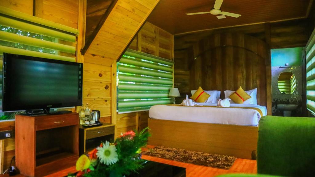 TV a/nebo společenská místnost v ubytování Spring Muunnar, Munnar