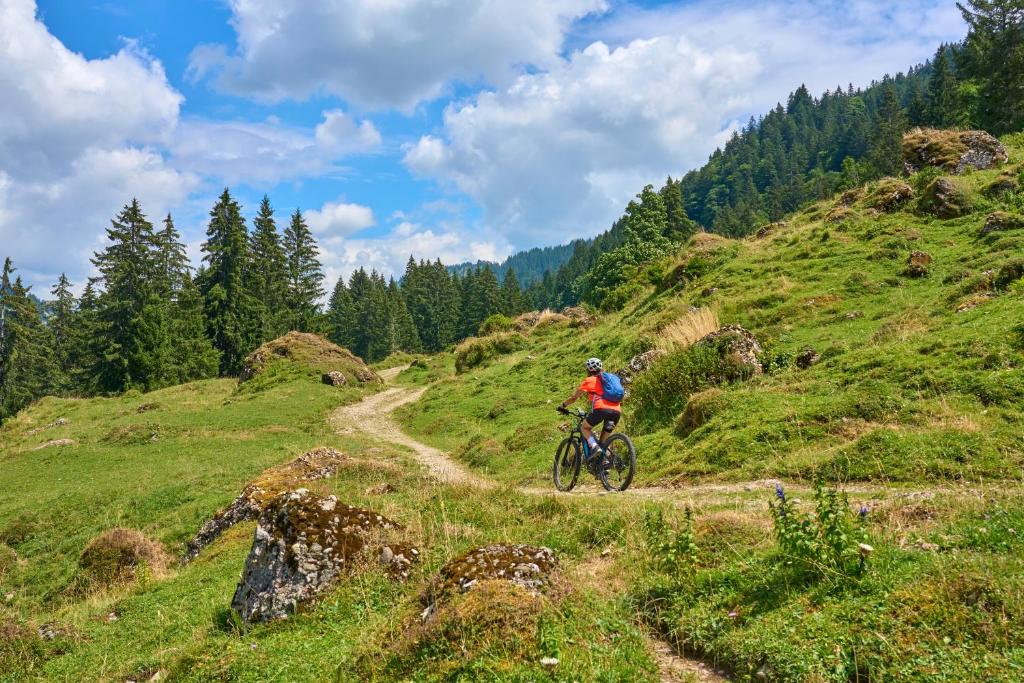 Hosté ubytování Hotel Alpennest