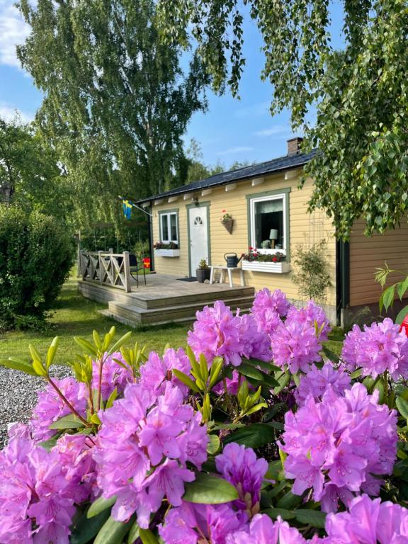 ein Haus mit rosa Blumen im Hof in der Unterkunft Nice child-friendly house 200m from beautiful beach, in Farhult