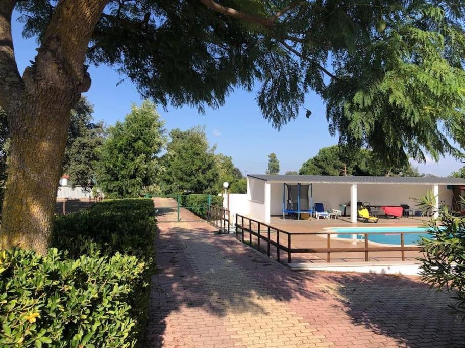 una casa con piscina junto a un árbol en Quintinha Verde Azeitona, en Moita