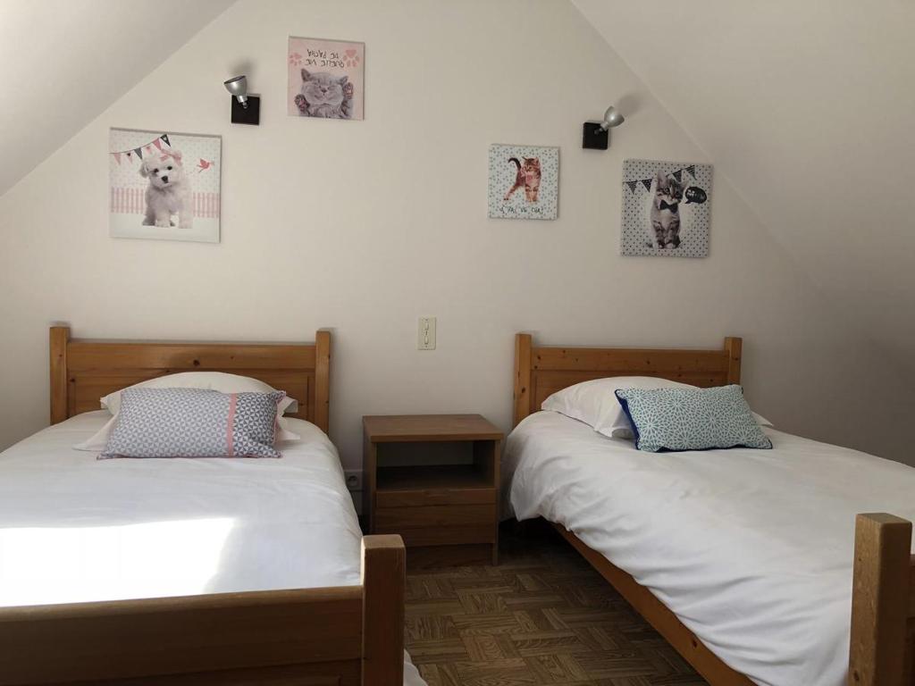 twee bedden naast elkaar in een kamer bij Studios - Location de vacances Le Trécelin in Plévenon