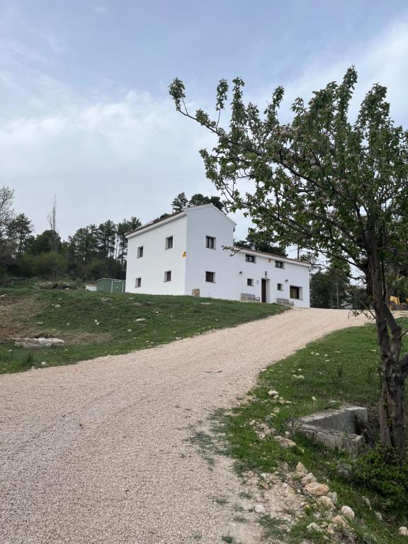 Secuoyas Casa rural Cortijo la Paloma في هويسكار: منزل أبيض على قمة تل مع شجرة