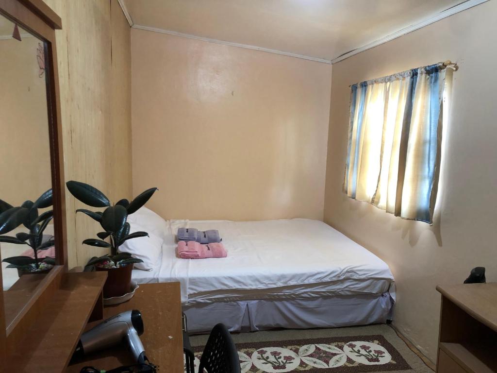 małą sypialnię z łóżkiem z różowymi butami w obiekcie Quiet Garden Home w mieście Molino