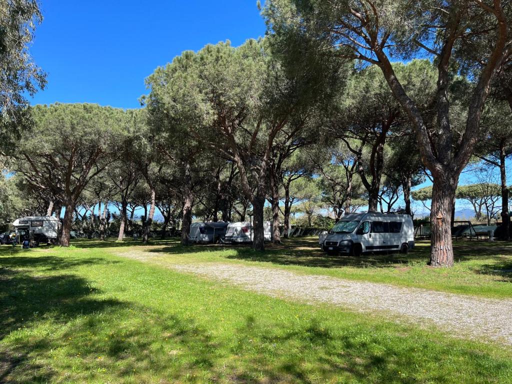 Un chemin de terre avec un tas d'arbres et de voitures dans l'établissement Area Sosta La Pampa, à Marina di Grosseto