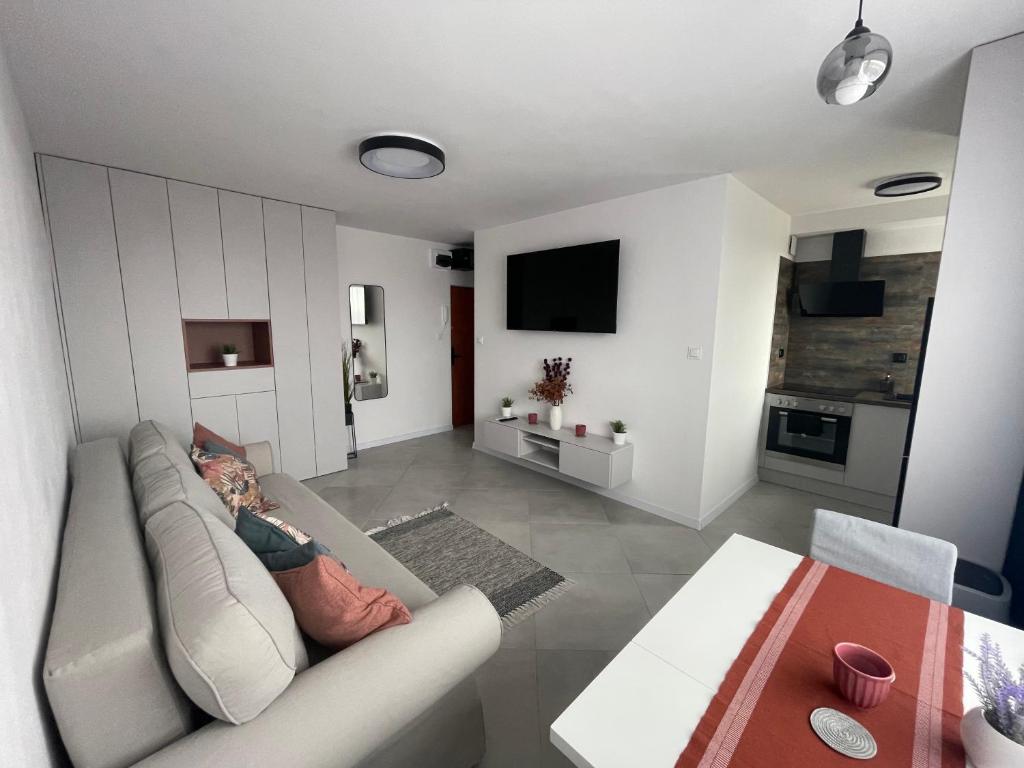 Μια τηλεόραση ή/και κέντρο ψυχαγωγίας στο NT Apartament Kołobrzeg
