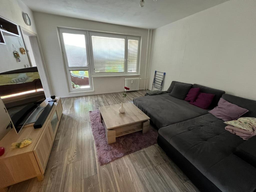 a living room with a couch and a coffee table at Apartment Maluchy in Hrabŭvka