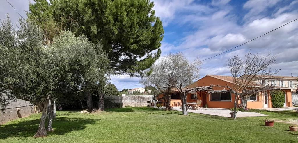 a house with a tree in the yard at Maison en Provence (Piscine / Grand jardin) in Beaucaire