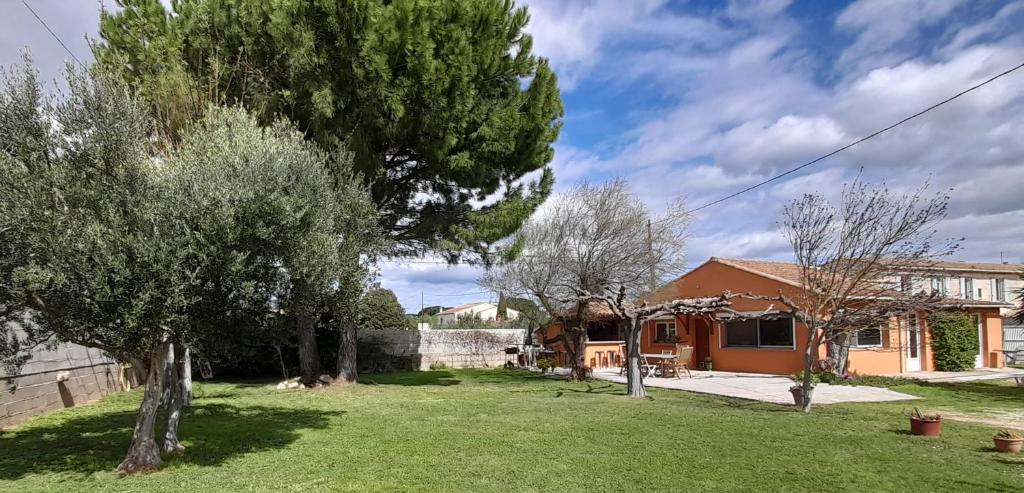 une maison avec un arbre dans la cour dans l'établissement Maison en Provence (Piscine / Grand jardin), à Beaucaire