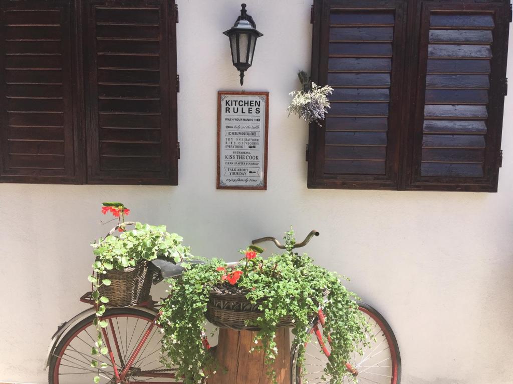 Jízda na kole v ubytování Hotel Casa Wagner nebo okolí