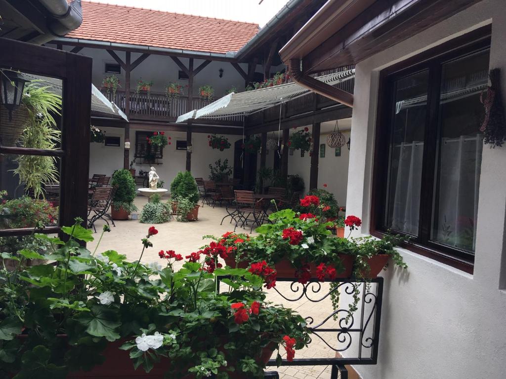 Zahrada ubytování Hotel Casa Wagner