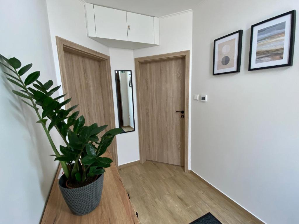 Fotografie z fotogalerie ubytování Apartmán Nezábudka v destinaci Nesvady