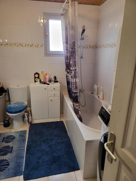 uma casa de banho com uma banheira, um WC e um chuveiro em Monis ruhiges Ferienhaus em Ménétreuil