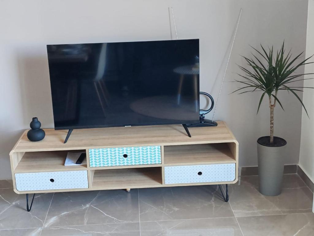 TV a/nebo společenská místnost v ubytování Sunny Apartment
