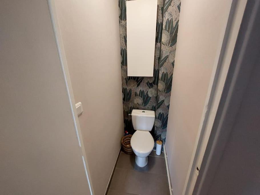 a small bathroom with a toilet in a hallway at Le Raphaëlle - Compiègne centre in Compiègne