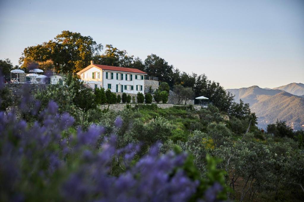 a house on top of a hill with purple flowers at Il Leccio - Luxury Resort Portofino Monte in Santa Margherita Ligure