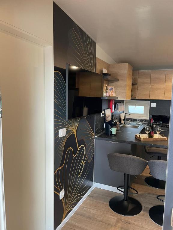 Kuchyň nebo kuchyňský kout v ubytování mobile home MIRNA