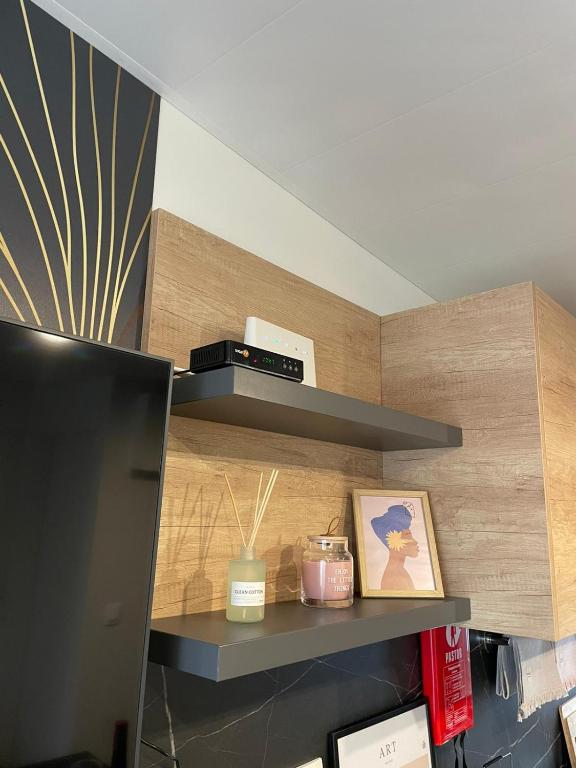 Kuchyň nebo kuchyňský kout v ubytování mobile home MIRNA
