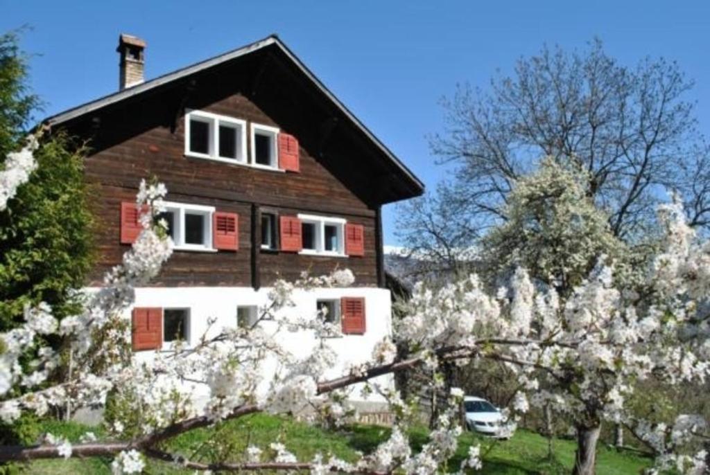 Casa Marili, das charmante Ferienhaus في Seewis: أمامه منزل به أشجار زاهرة بيضاء