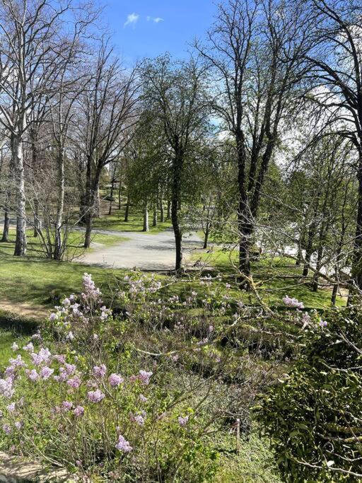 Vonkajšia záhrada v ubytovaní Résidence Harmonie Appartement N 2 Meublé Avec Petit Déjeuner